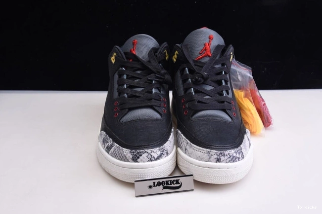 Reps TBK 3 Air 2.0 Jordan SE Retro CV3583-003 Instinct Animal - 0812